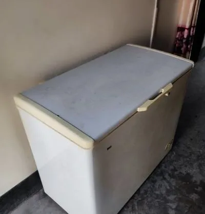 Singer fridge sell.