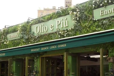 Olio E Più