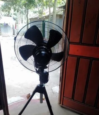 Fan sale