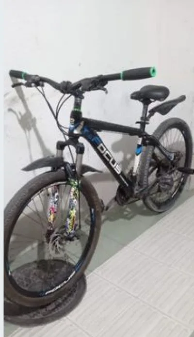 focus best bicycle
