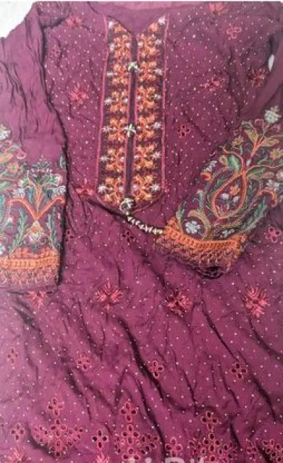 Pakistani Beautiful 2 pieces set