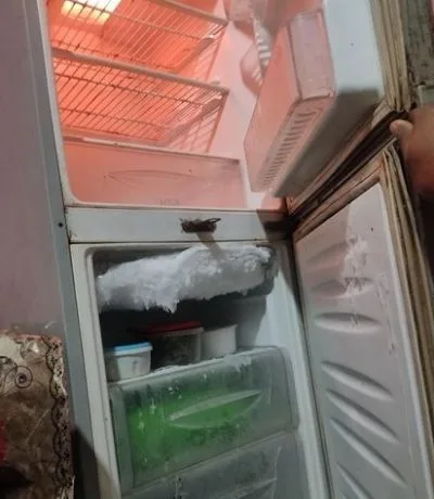 LG 11.5 SFT fridge