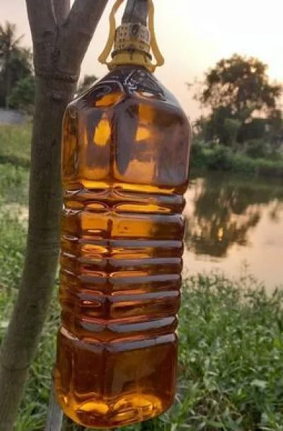 ঘানি ভাংগা সরিষার তেল -১লিটার