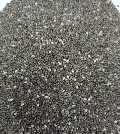 ফ্রেশ চিয়াসিড