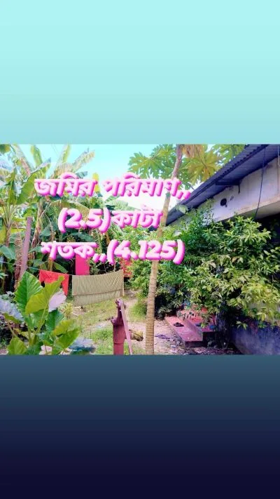 বাড়ি বিক্রি হবে টিনশেটের