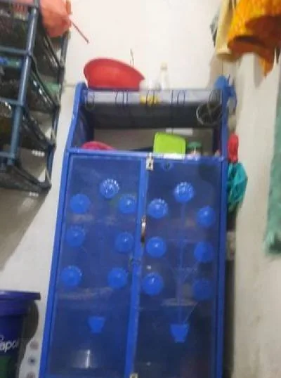 র্যাক ও ট্রলি