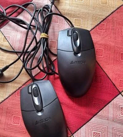 Mouse