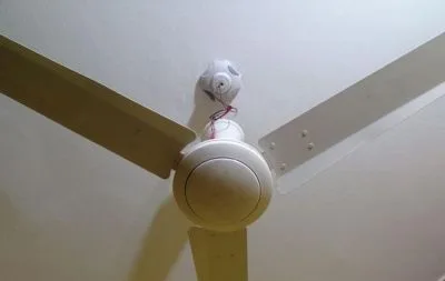 ফ্যান