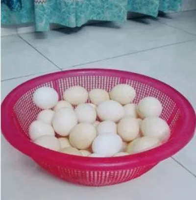 দেশী ডিম
