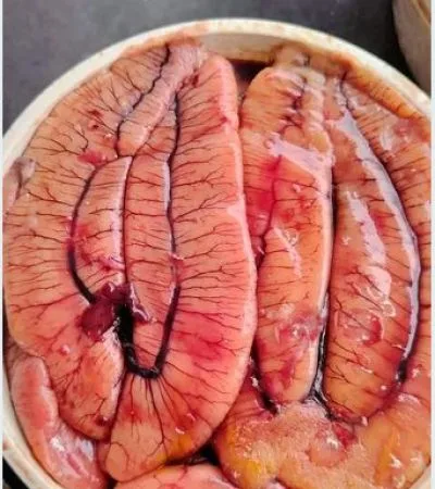 কাচা ইলিশ মাছের ডিম