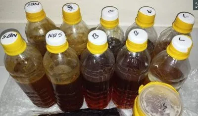 বিভিন্ন ধরনের মধু