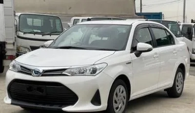 Toyota Axio X 2019