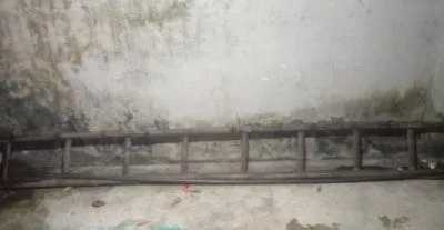 ladder for sale