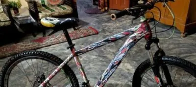 phoenix gair saikel