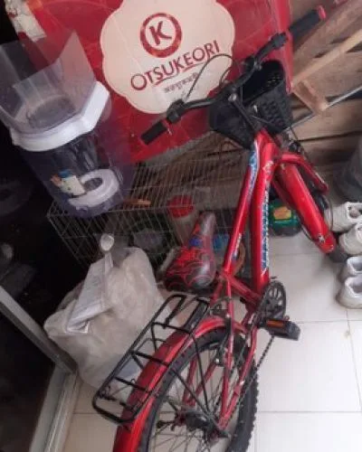 Bicycles sell