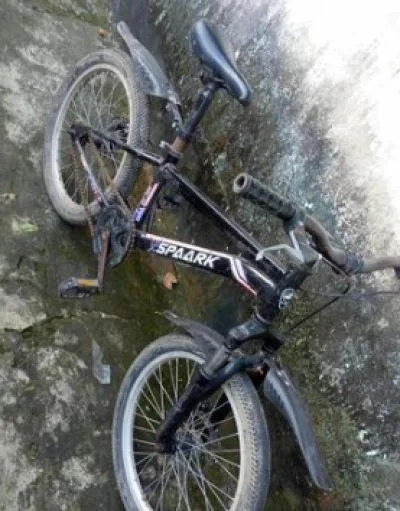 Duranta 20" inch cycle