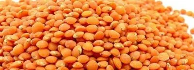 দেশি মসুর ডাল
