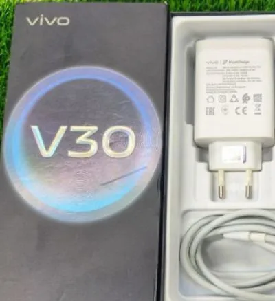 vivo v30 original charger