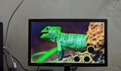 Samsung 19" Hd Led Monitor