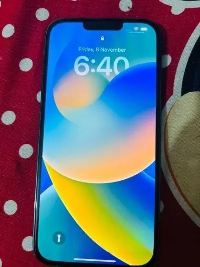 Apple iPhone 13 Pro Max (Used)