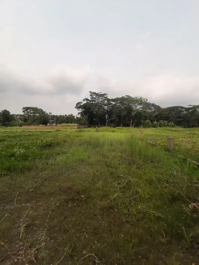 জমির 6 শতাংশ
