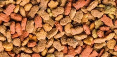 cat food