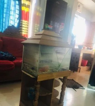 Fish aquarium tabel + ( food Oxygen pathor )
