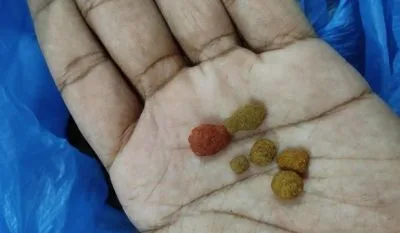 Mixed Cat Food
