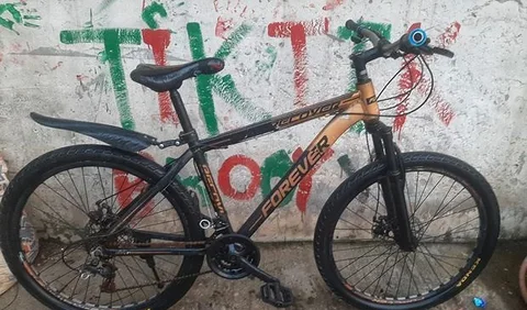 অ্যালুমিনিয়াম গিয়ার সাইকেল ফরেবো