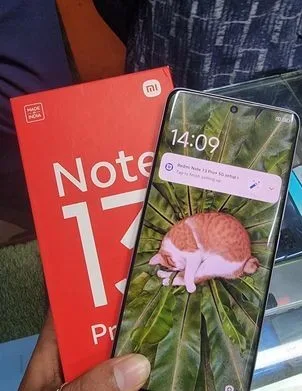 Xiaomi 13 Pro Plus 12/256