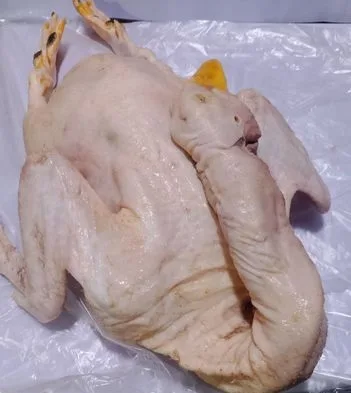 প্রসেসিং বেইজিং হাঁস