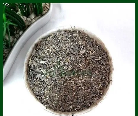 শিং কুঁচি সার।