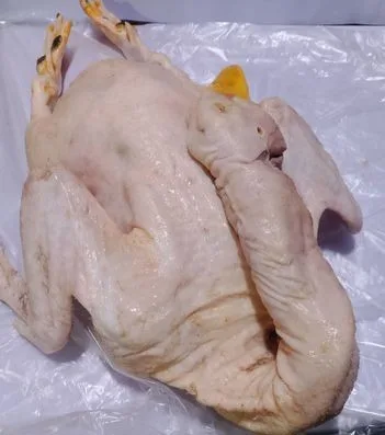 প্রসেসিং বেইজিং হাঁস
