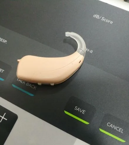 hearing aid