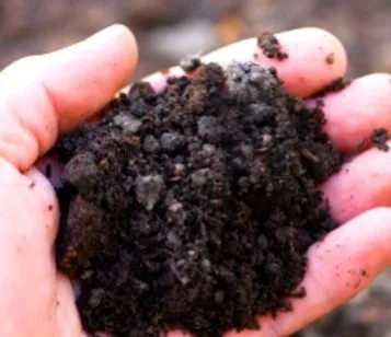 জৈব সার Organic Fertilizer.
