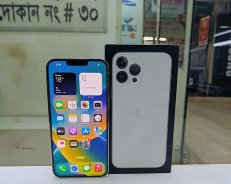 Apple iPhone 13 Pro Max