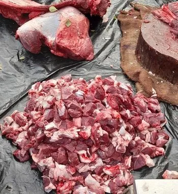 গাড়ল ভেড়ার গোস্তো