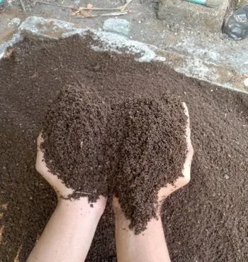 গোবর সার