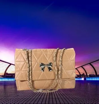 Ladies Hand Bag