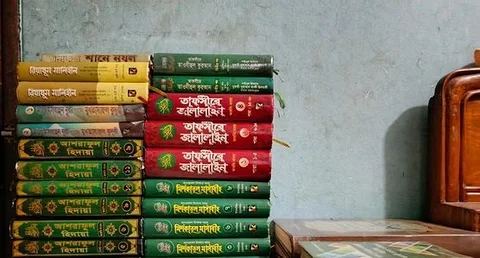 Madrasar boi