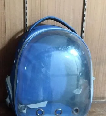 Cat Bag