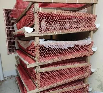 কোয়েল পাখির খাঁচা