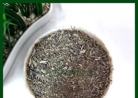 শিং কুঁচি I