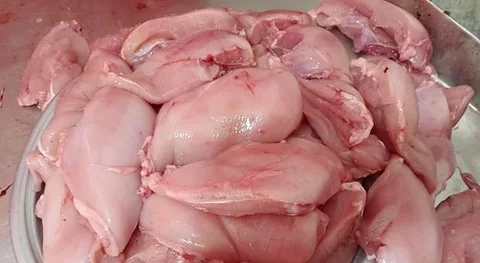 Broiler Chicken Breast Boneless