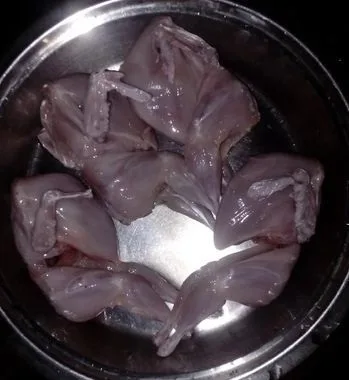 100pis koel pakhi bikkri