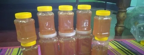 প্রাকৃতিক চাকের মধু