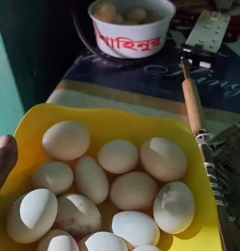 দেশী মুরগির ডিম