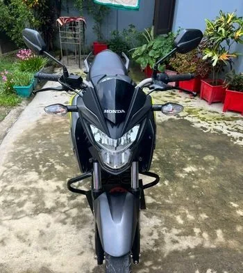Honda Hornet