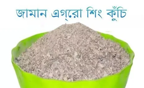 জামান এগ্রো - শিং কুঁচি
