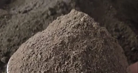 ভার্মি কম্পোস্ট সার